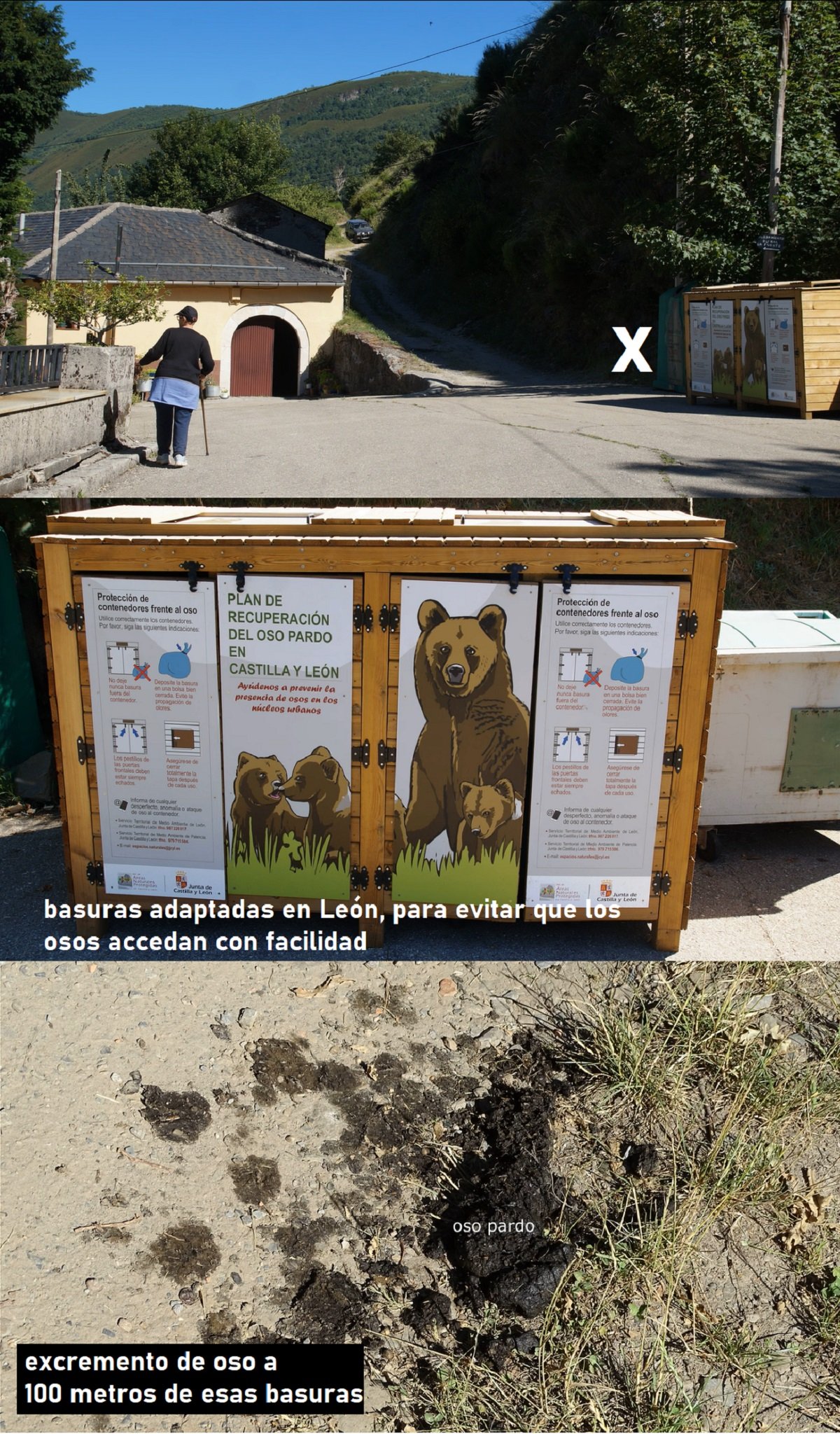 basura en León anti osos