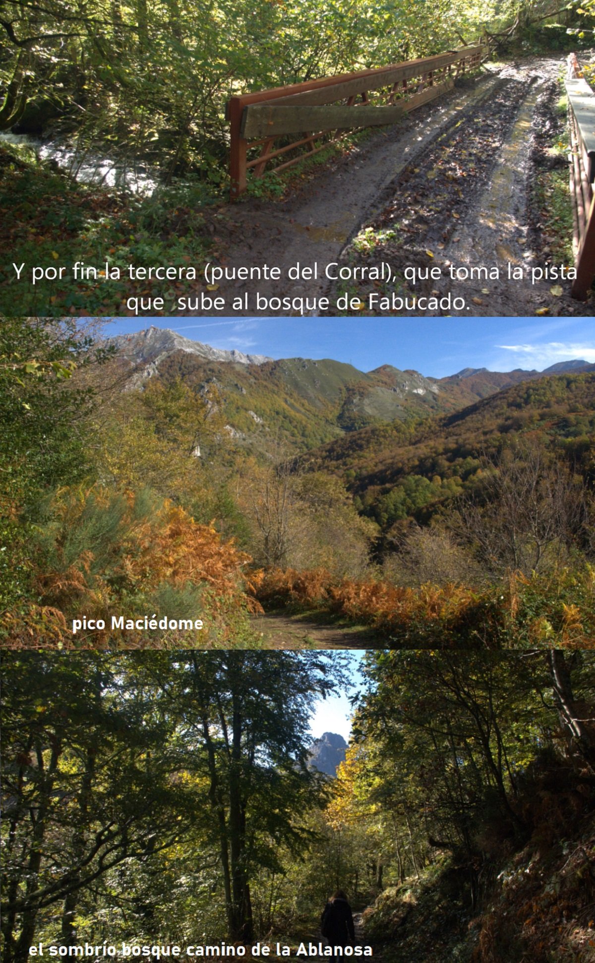 camino de la Ablanosa