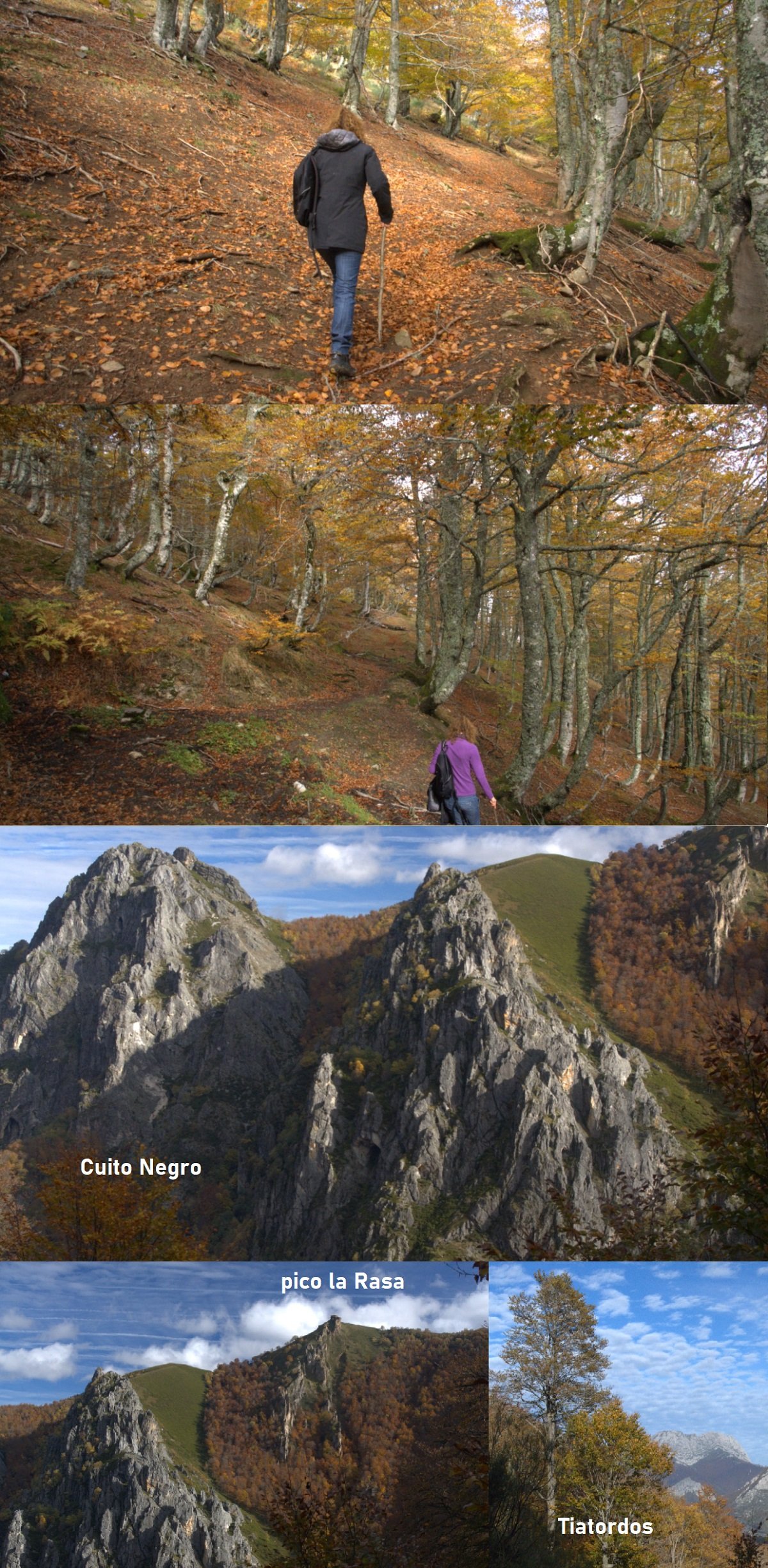 Parque Natural de Redes