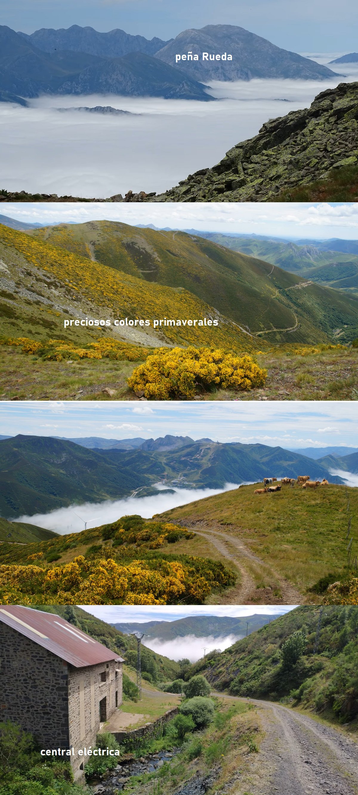 bajando desde el Cellón