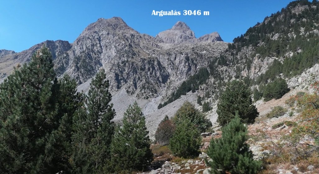 pico Argualás