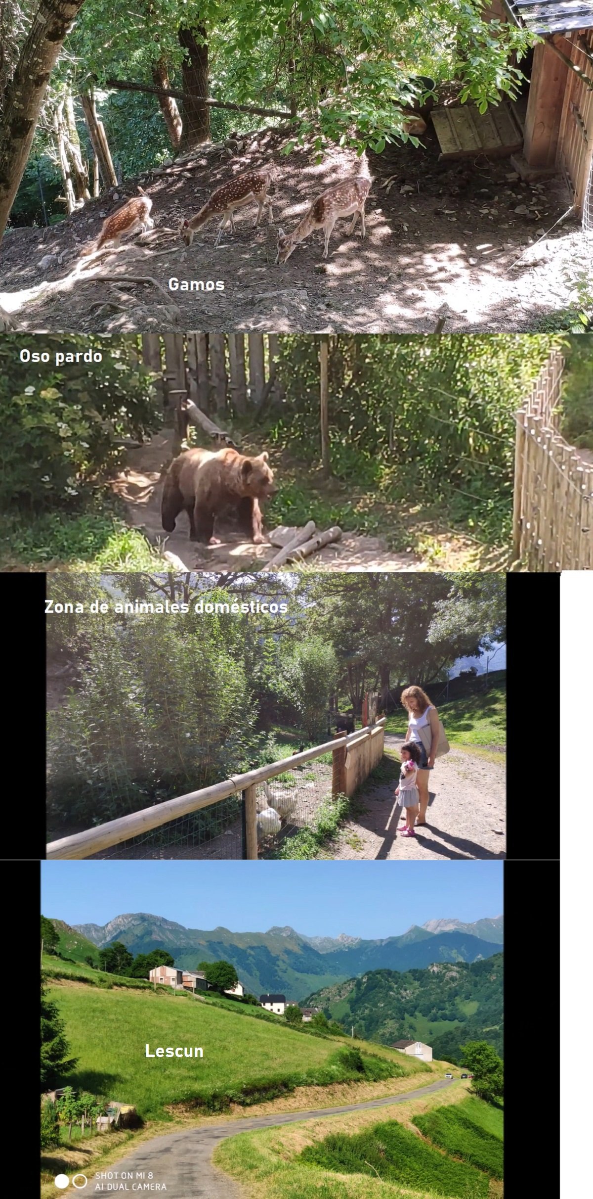 Parque faunístico de Borce