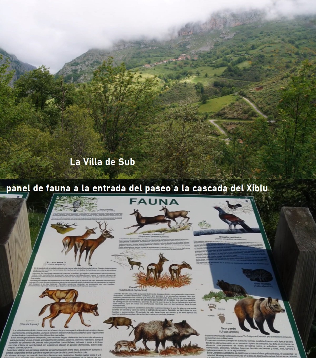 puerto de la Ventana