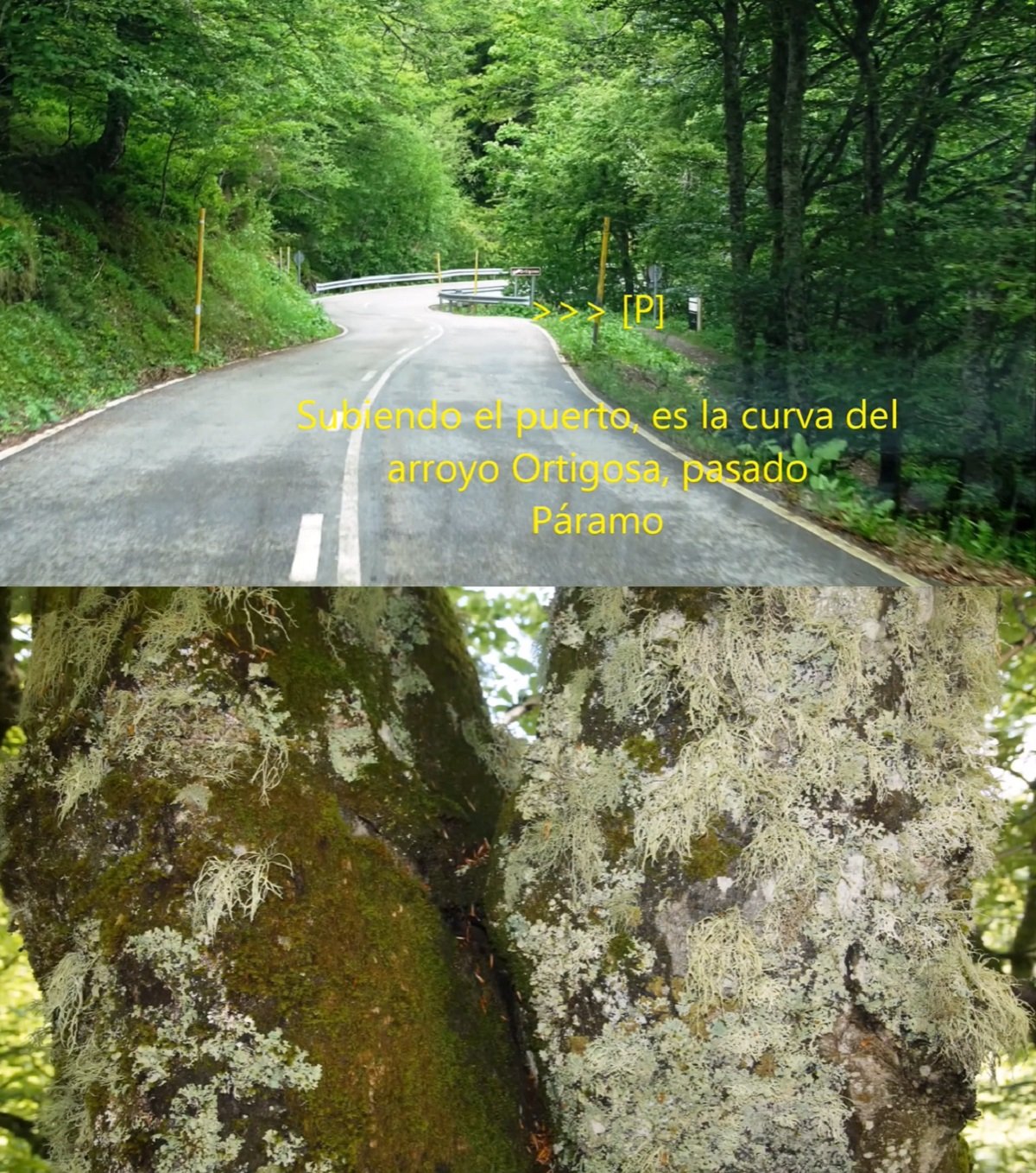 parking braña de las Cadenas