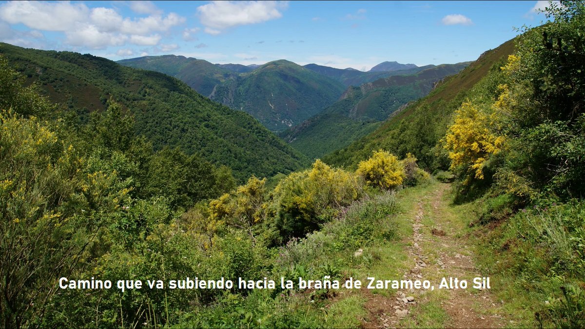 Braña de la Seita y Zarameo