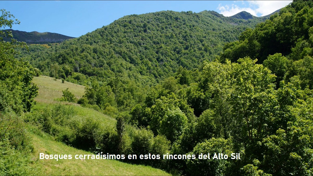 sierra del Couto al fondo
