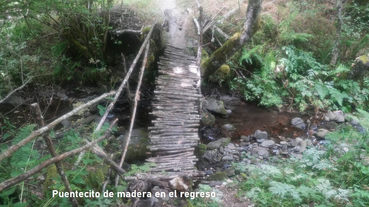 puente de madera