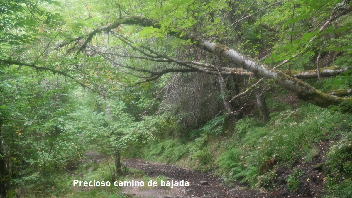 camino de regreso a Rioscuro