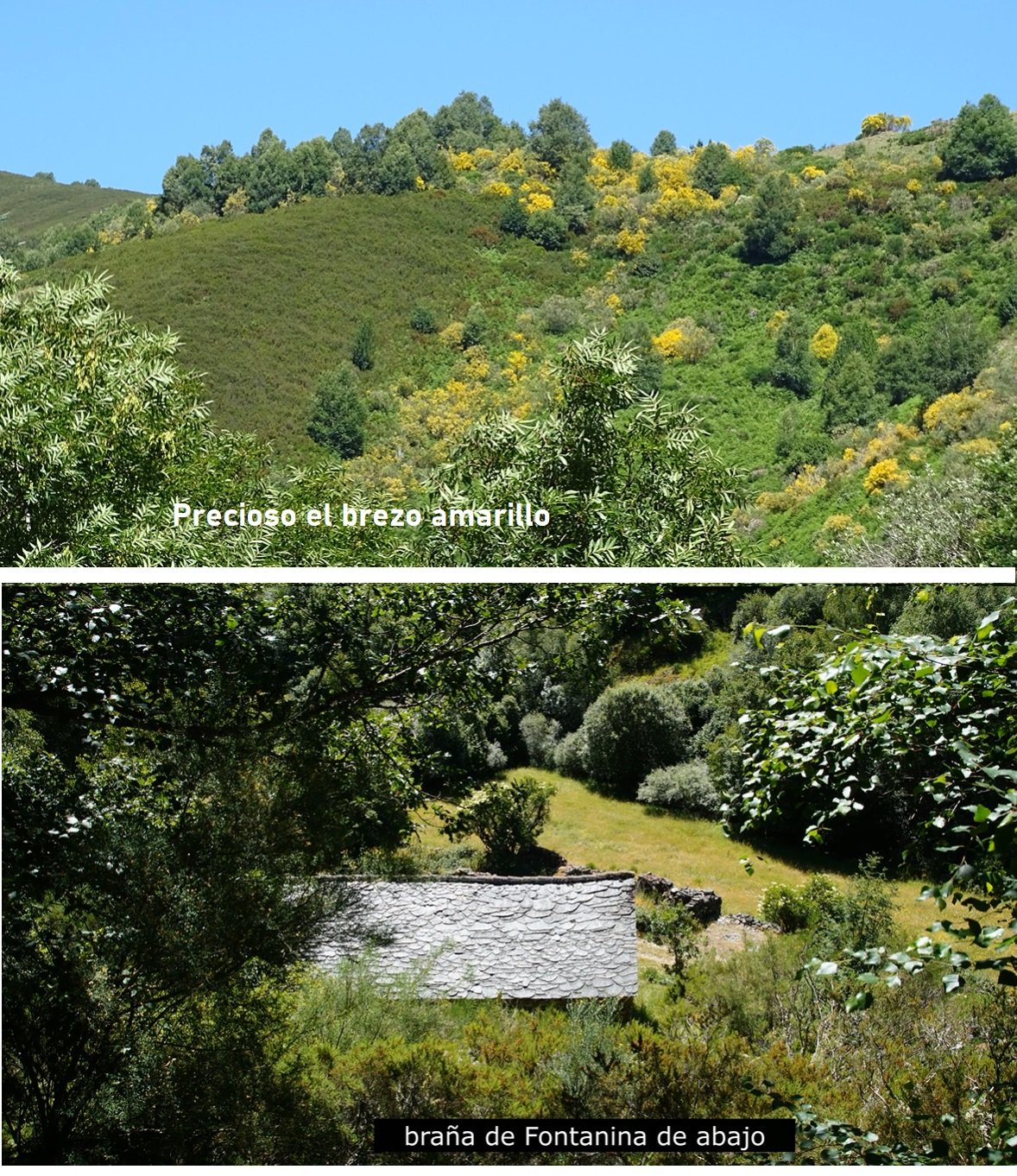 Braña de Fontanina de Abajo