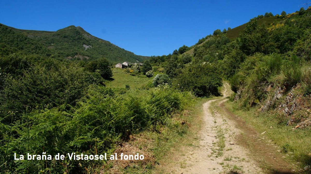 Braña de Fontanina de Abajo