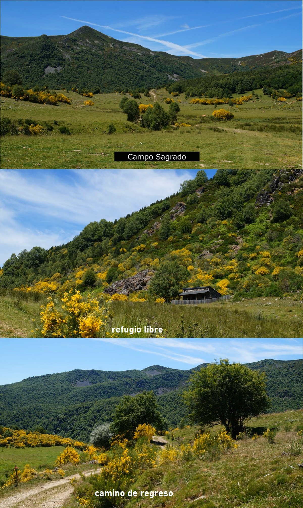 camino de las brañas de Tejedo del Sil