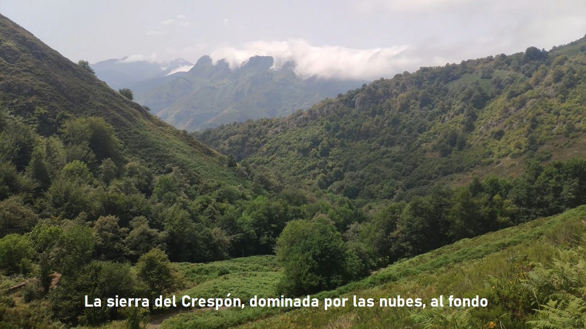 sierra del Crespón