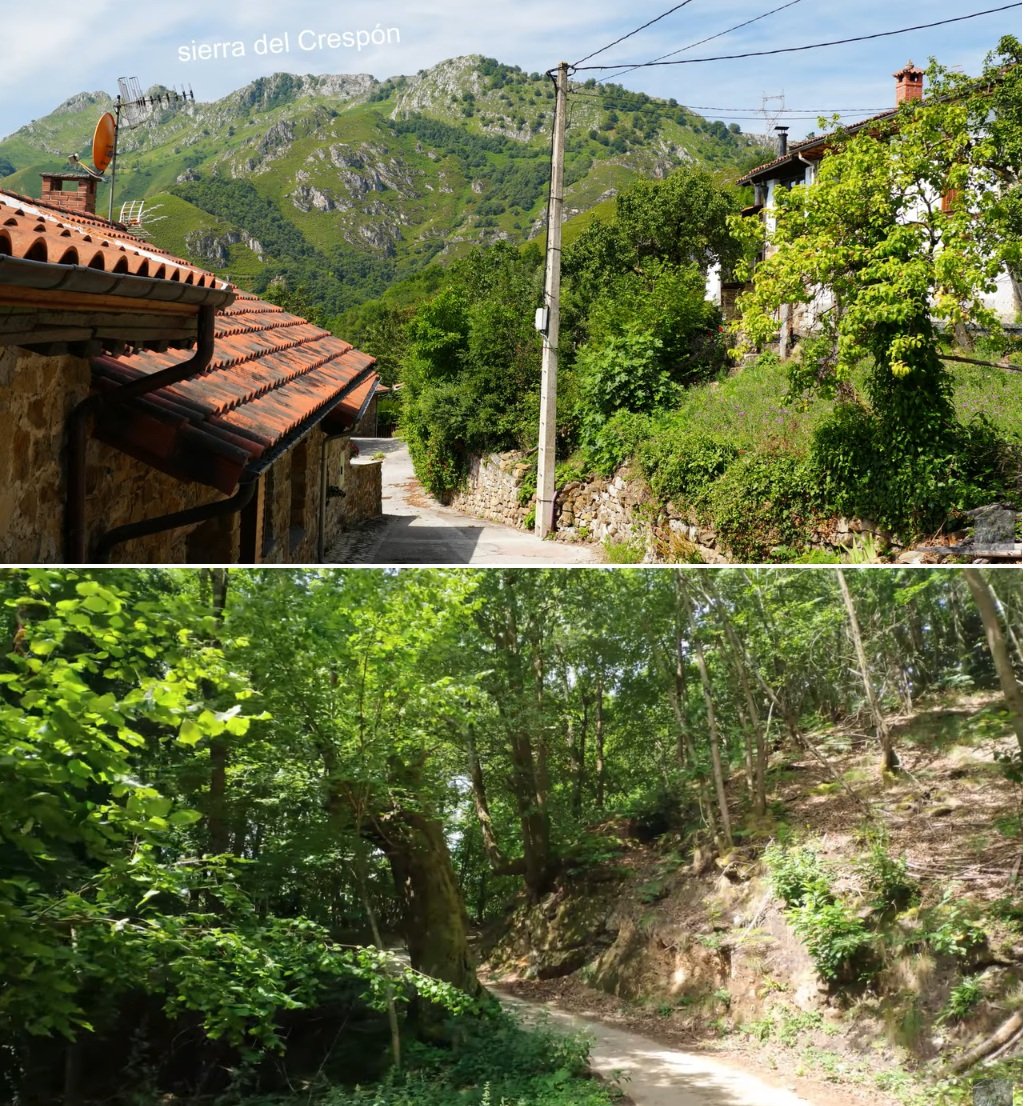 sierra del Crespón, Redes