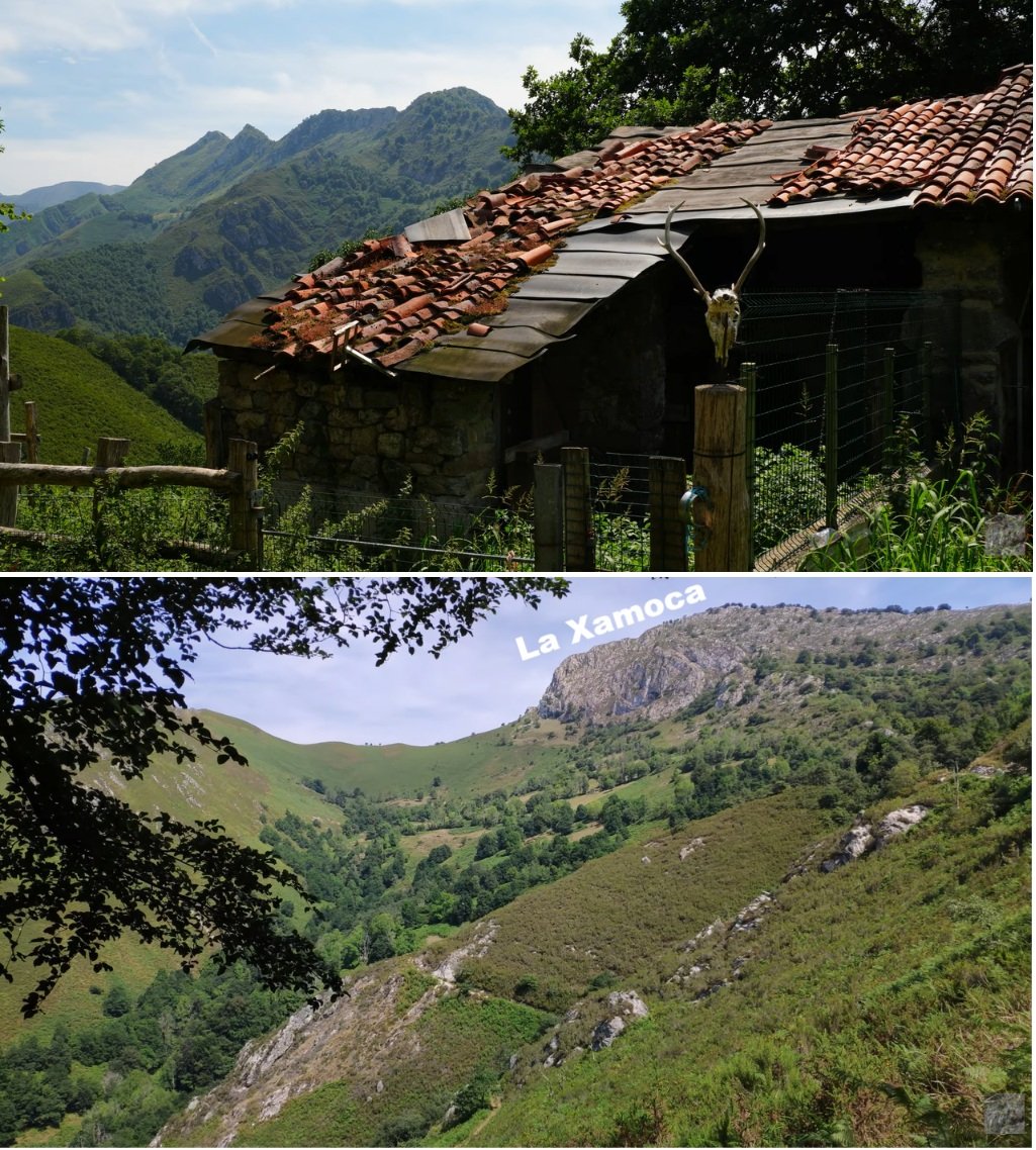 vistas de La Xamoca, Redes