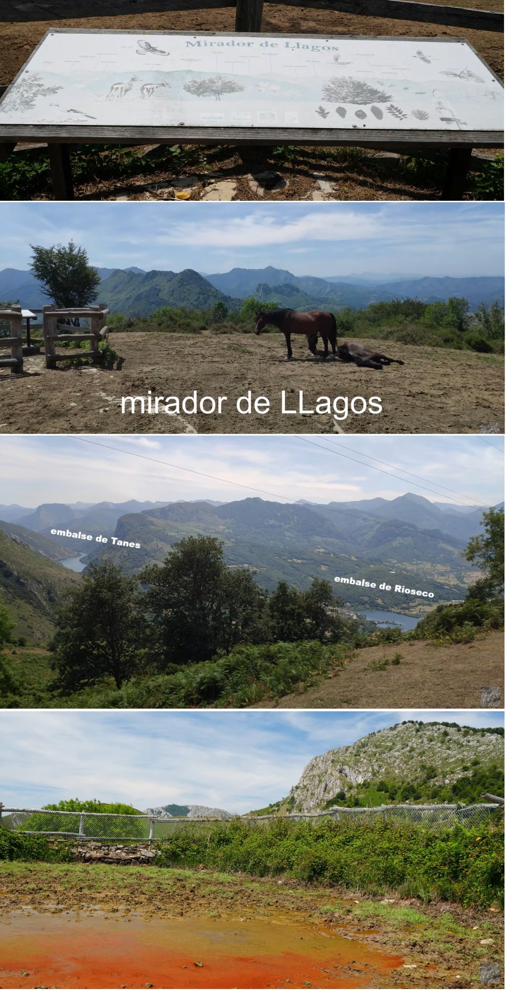 vistas desde el mirador de Llagos, Redes