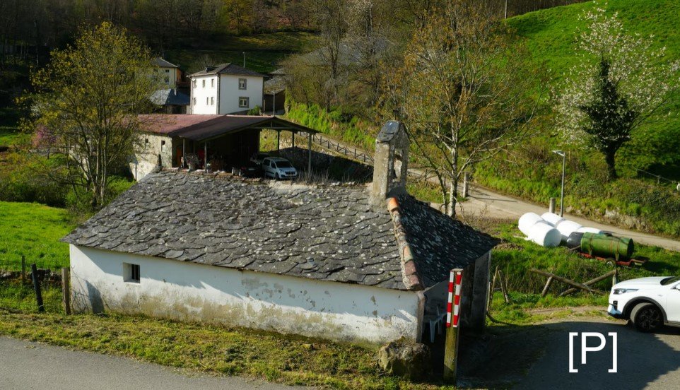 Casares Cangas del Narcea, Asturias