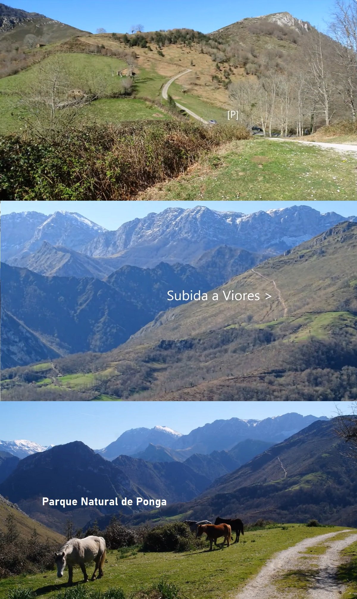 Parque Natural de Ponga