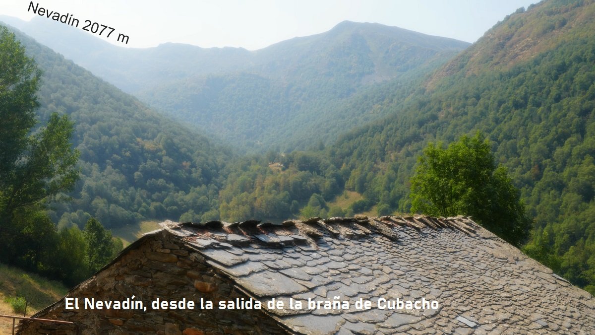 el Nevadín desde la braña<br />
 de Cubachu