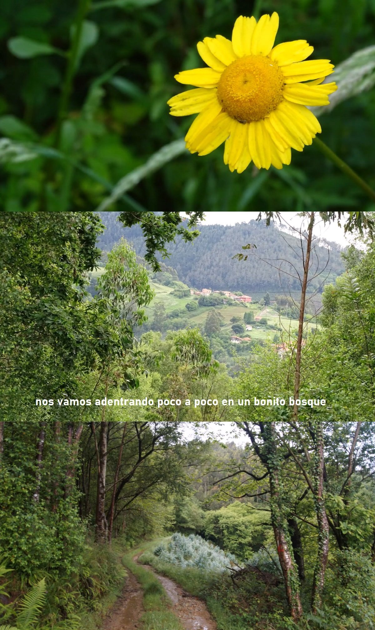 camino de El Corgullón