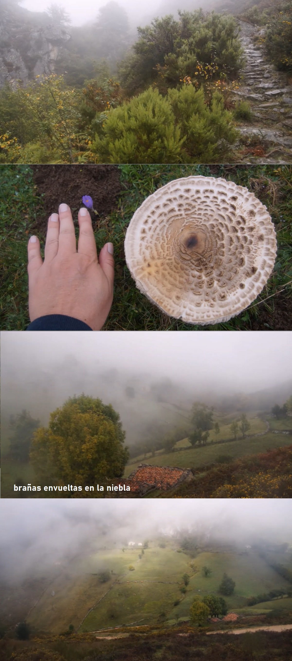 foz Valle de Fresnedo