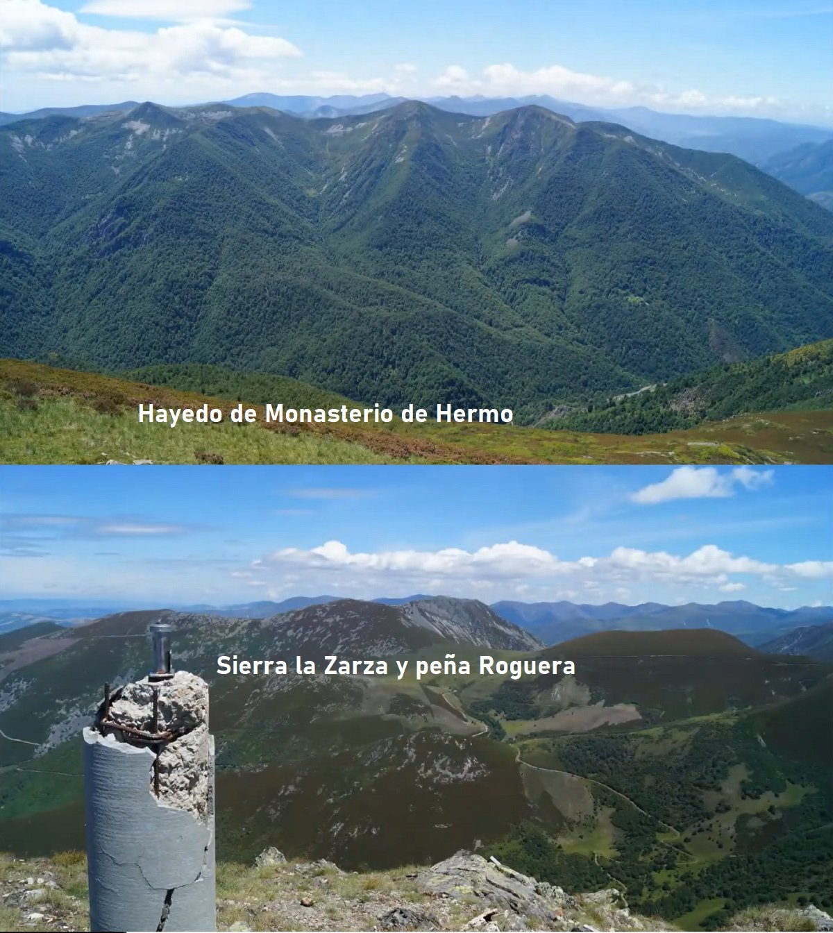 hayedo de Monasterio de Hermo