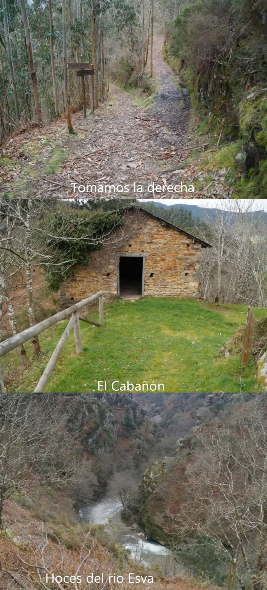 Hoces del Esva