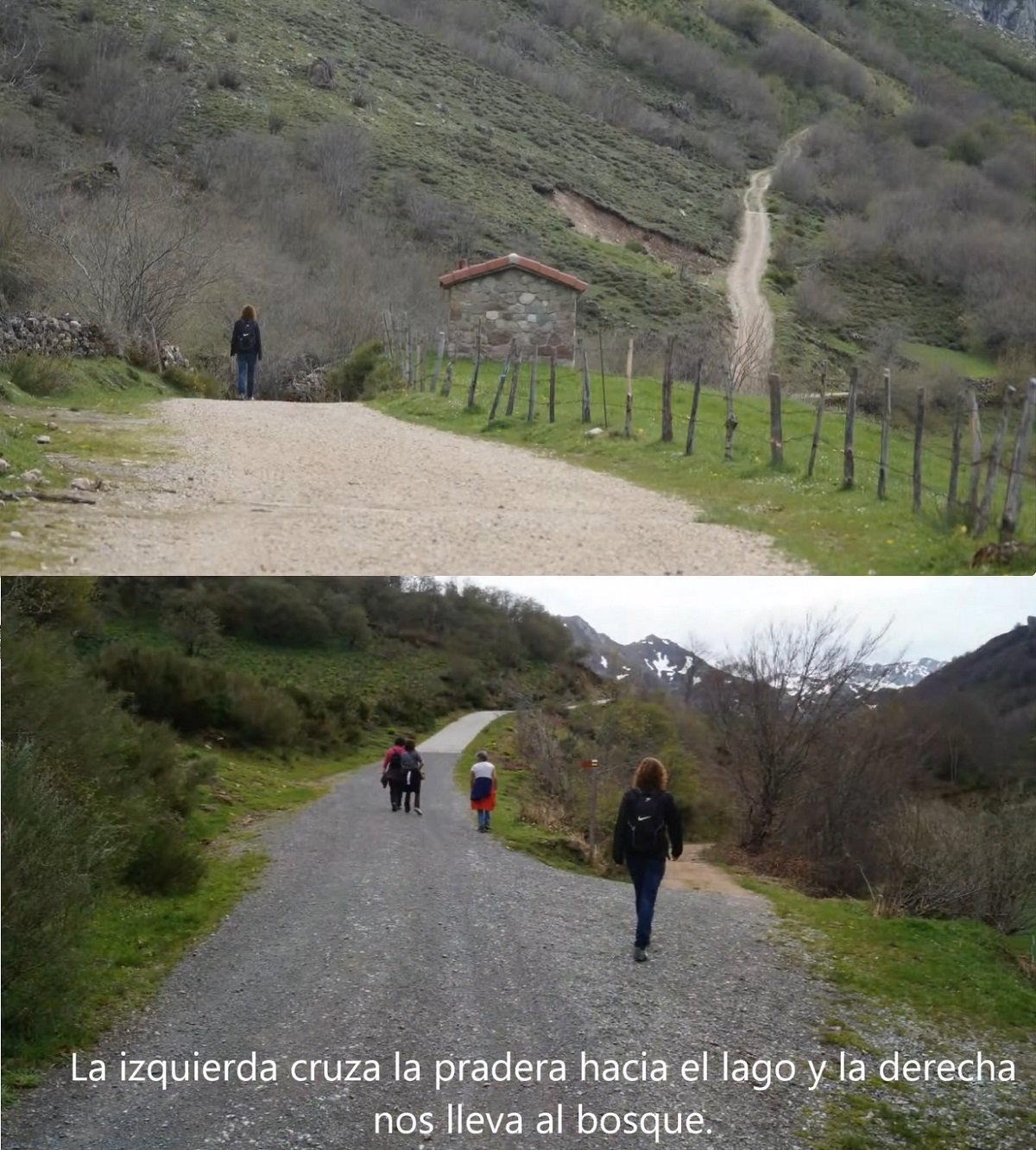 hayedo pradera del Valle