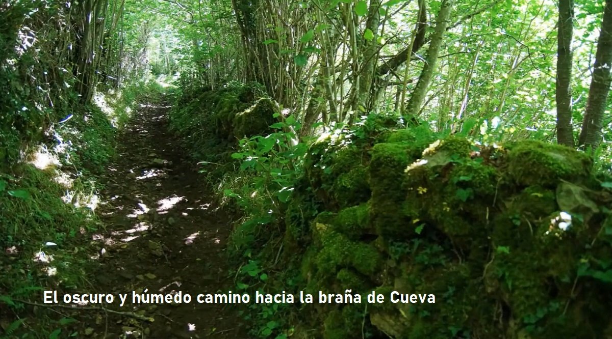 caleya en Cuevas, en Belmonte de Miranda, Asturias