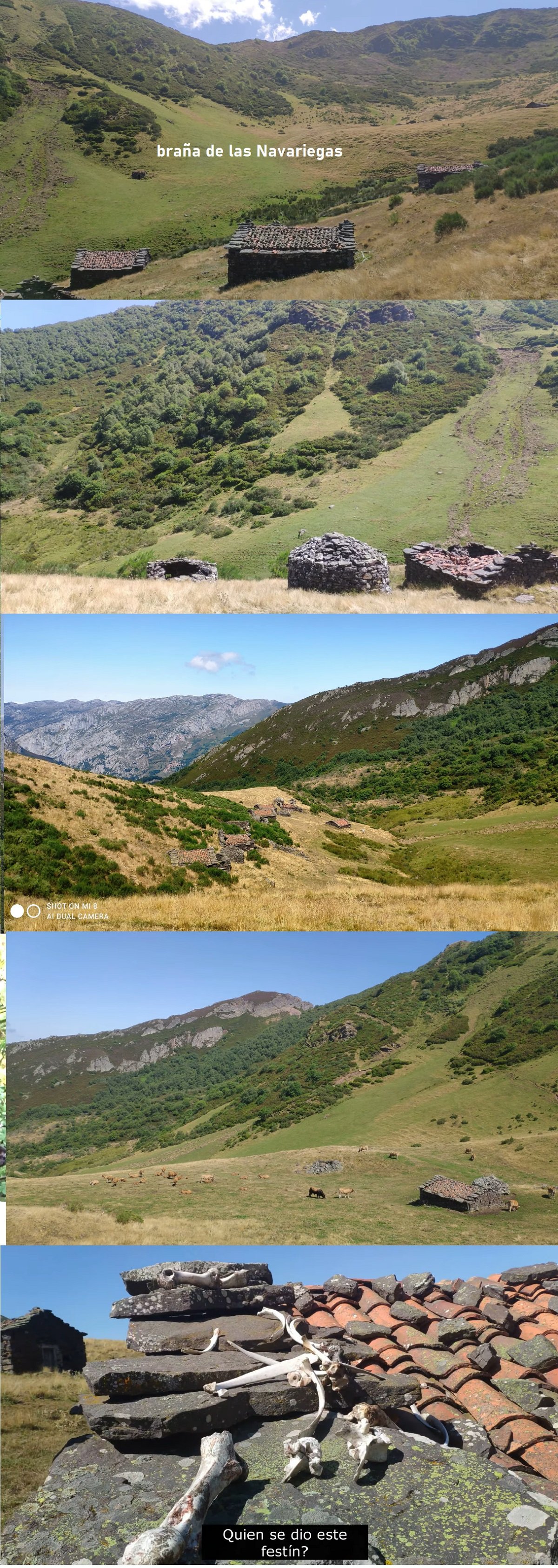 huesos en una cabaña