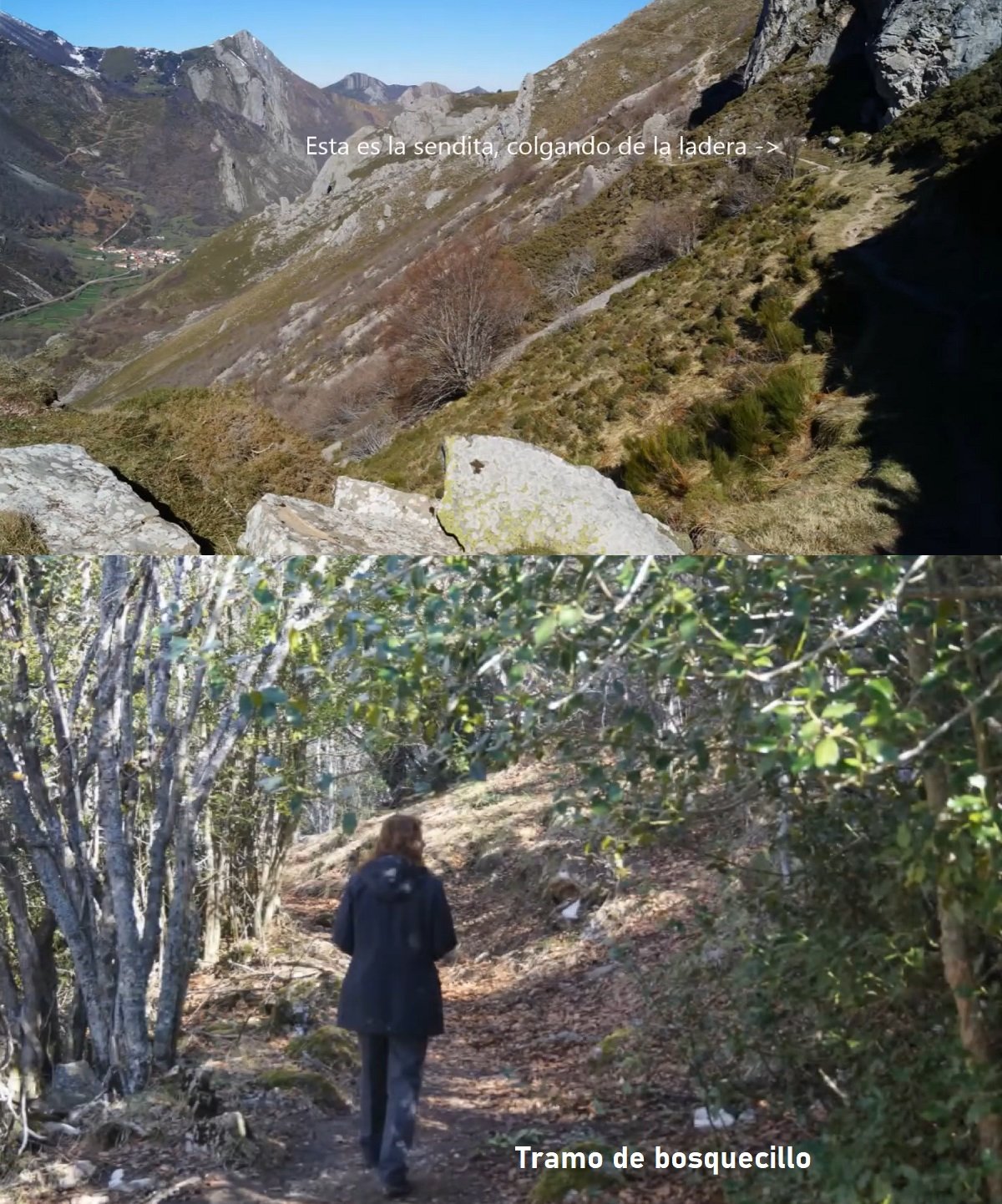 caminito y bosquecillos desde La Llamardal