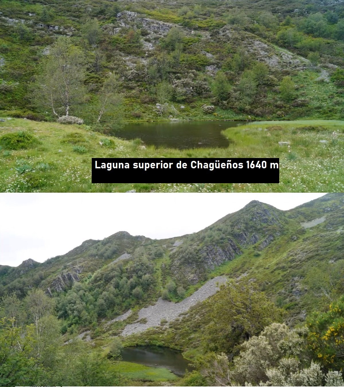 laguna superior de Chagüeños
