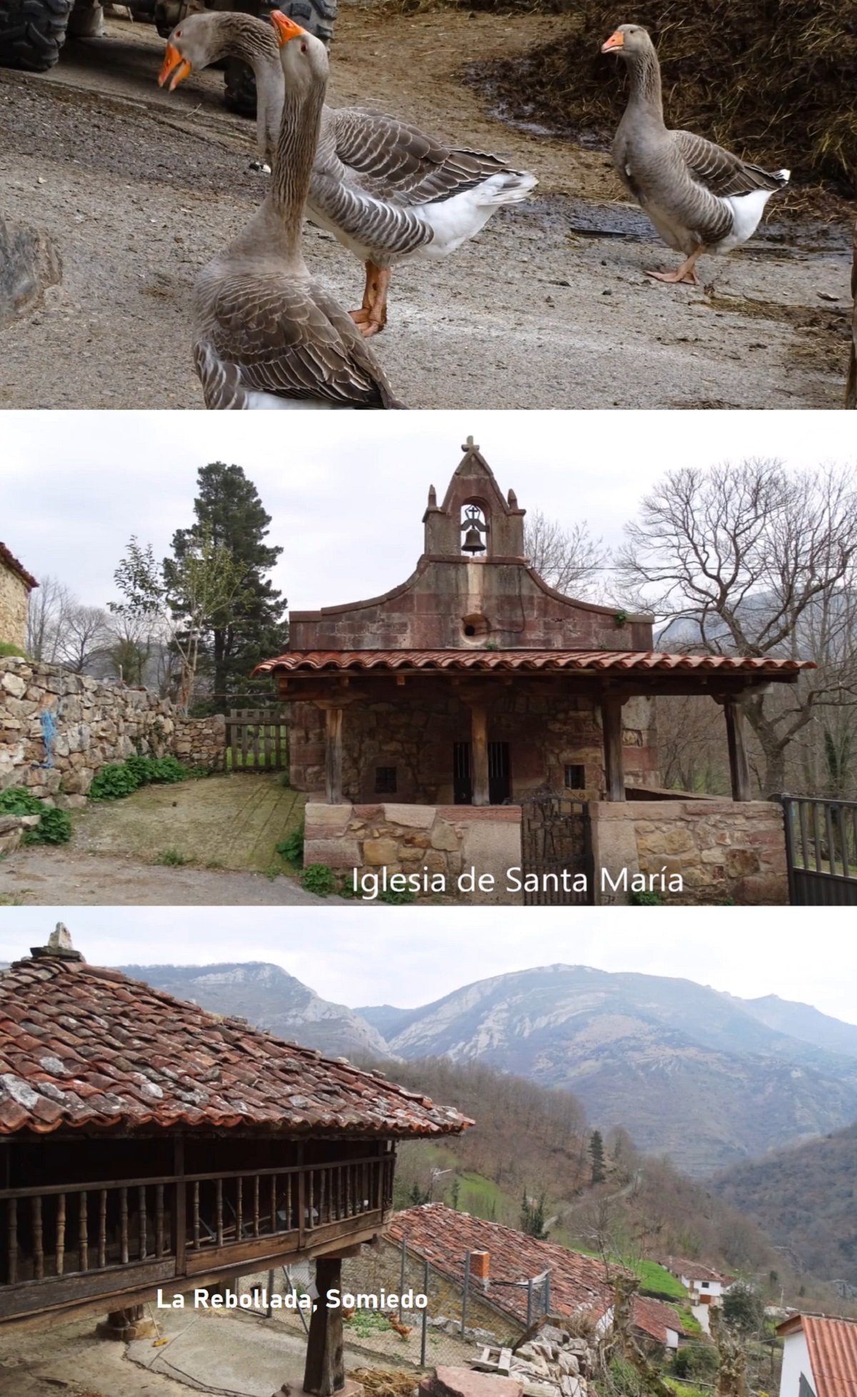 La Rebollada Somiedo