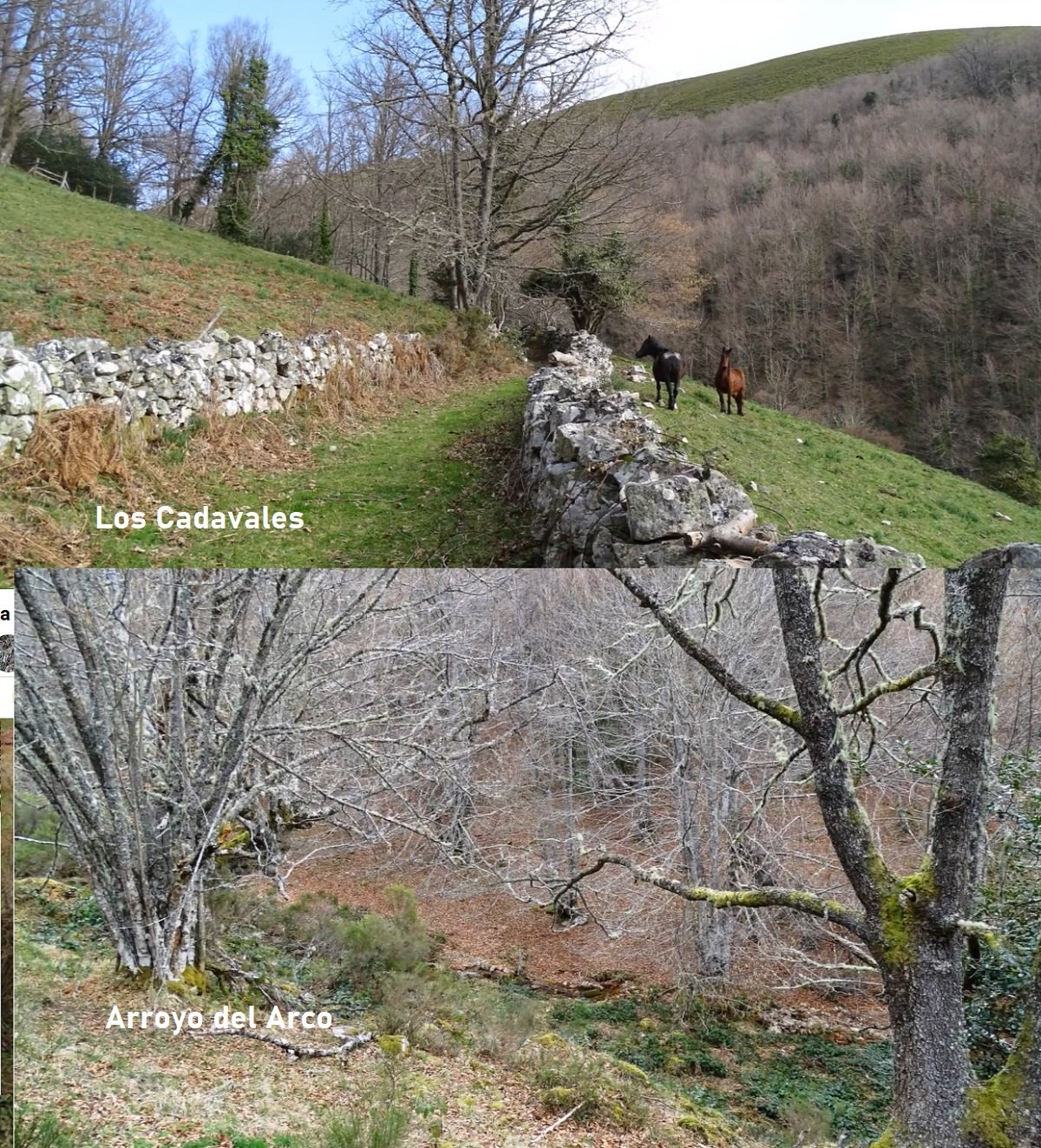 arroyo el Arco, La Rebollada Somiedo