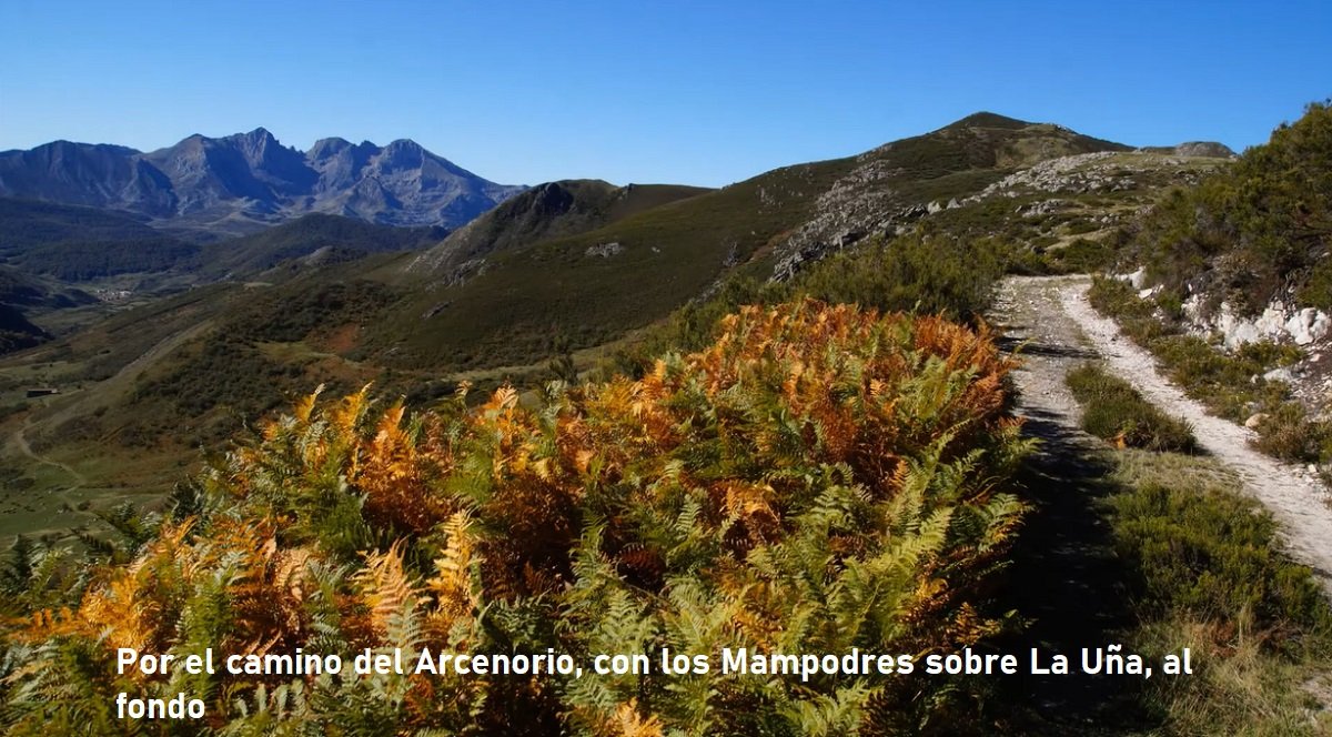camino del Arcenorio