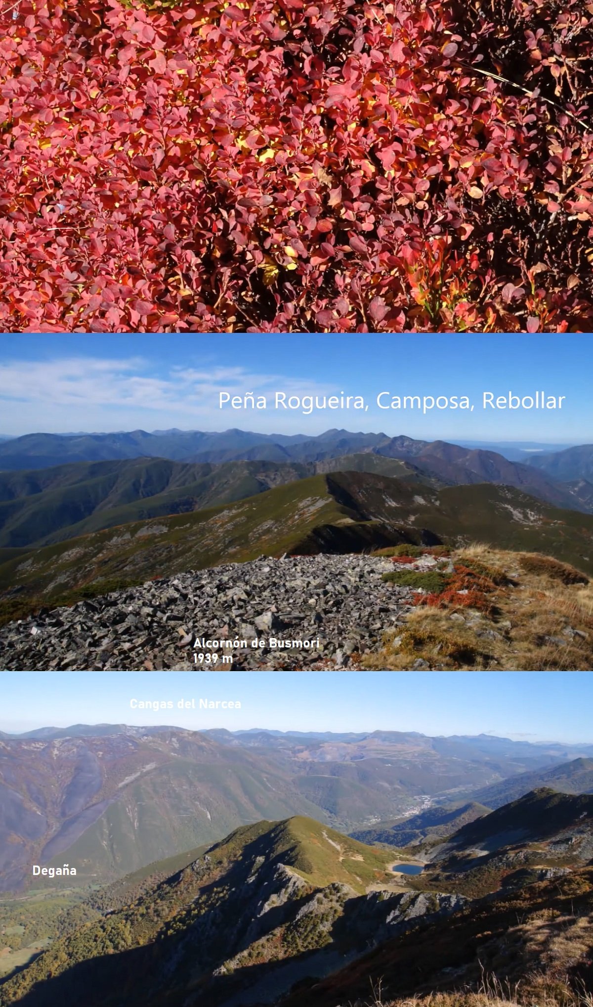 vistas desde el Alcornón de Busmori