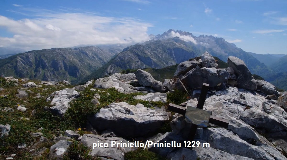 pico Priniellu