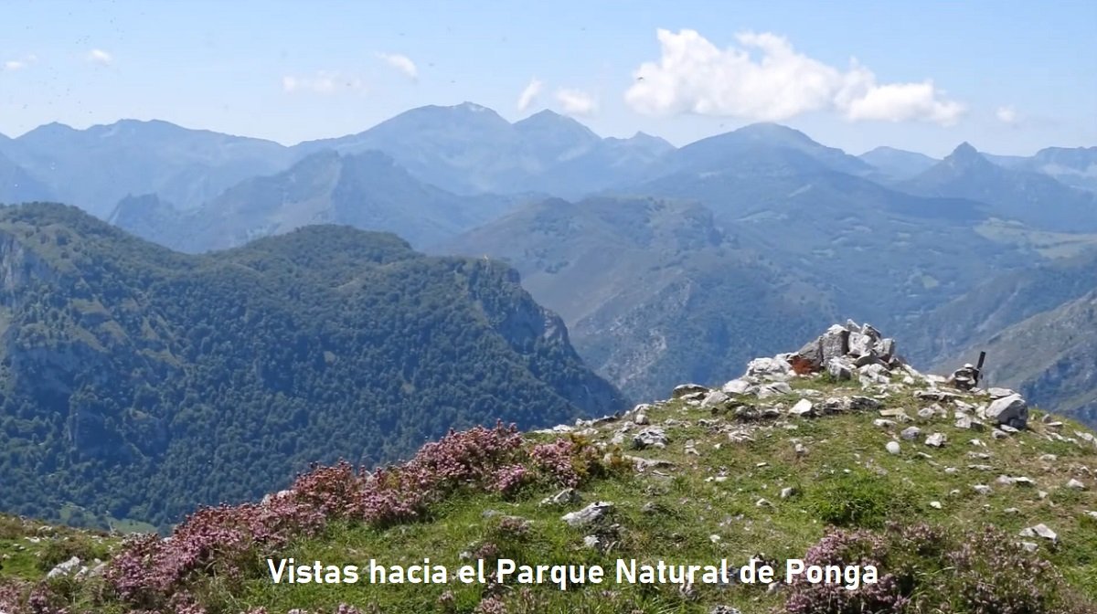 Parque Natural de Ponga