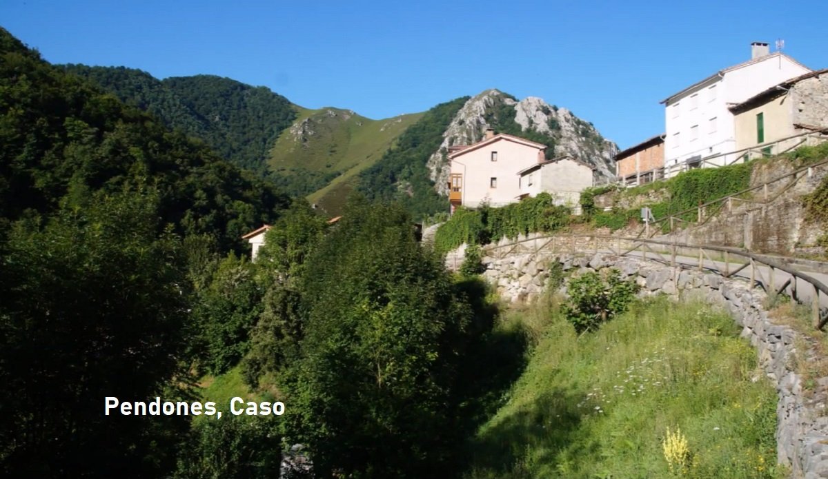 Pendones, Caso