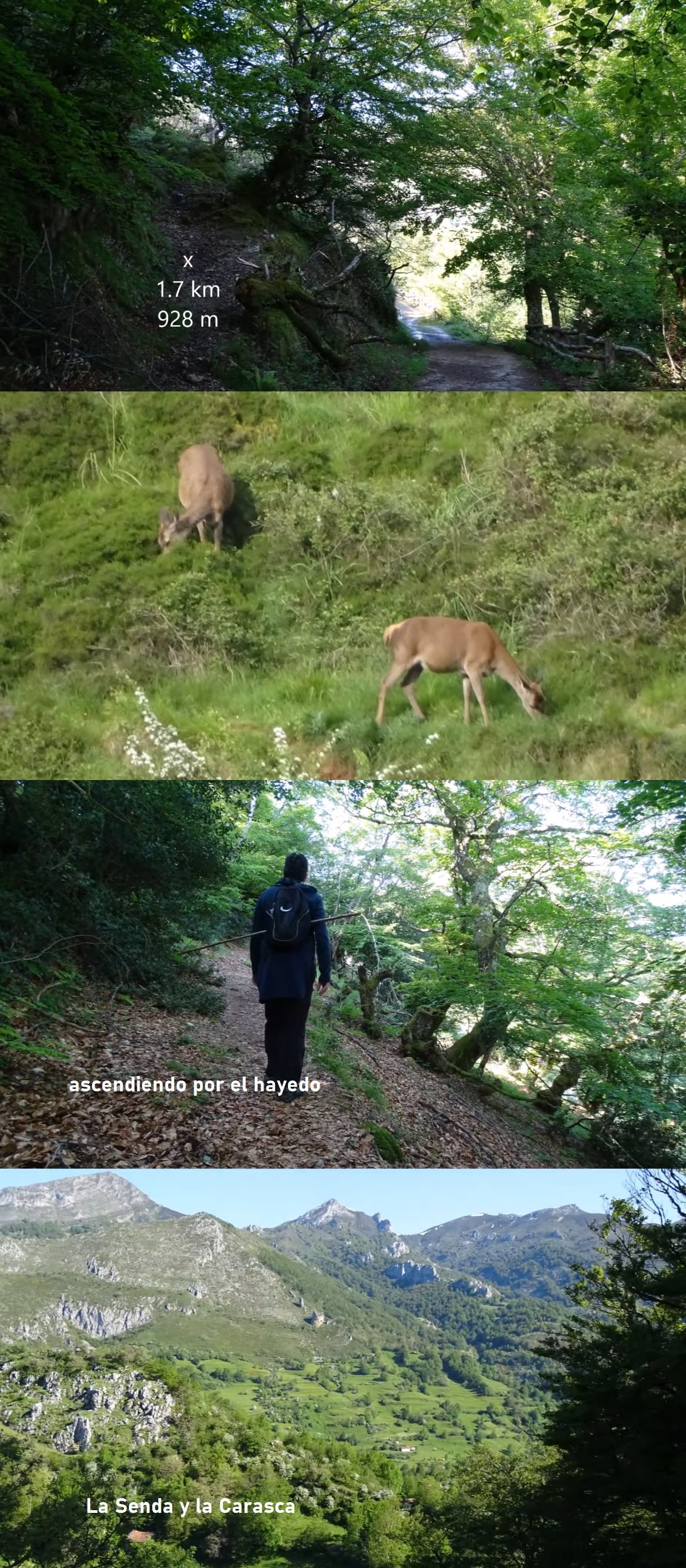 desvío desde camino Vega Baxu