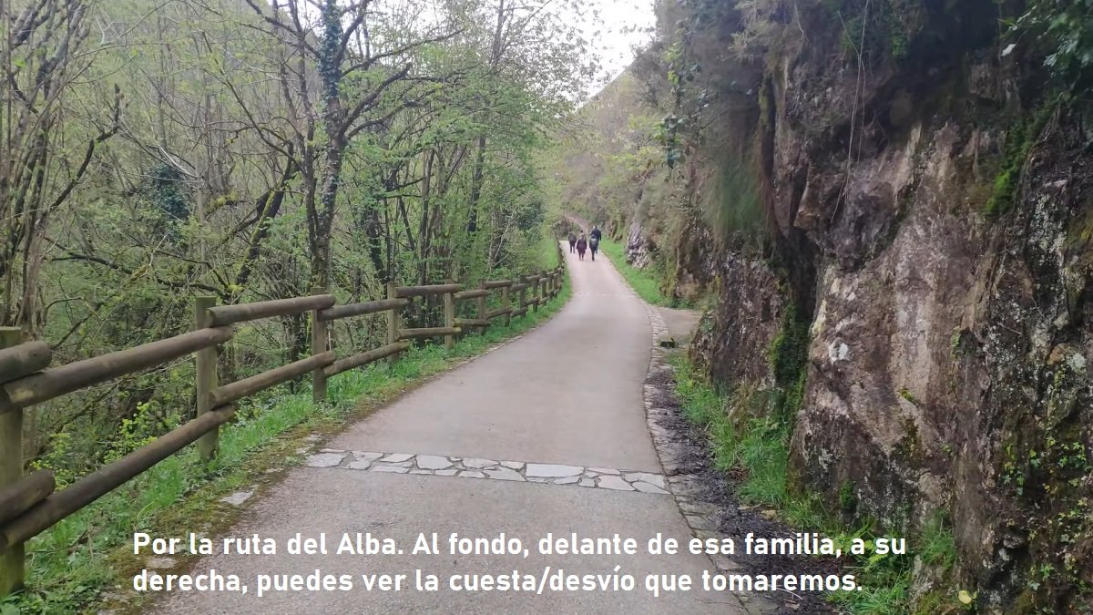 ruta del Alba en Redes