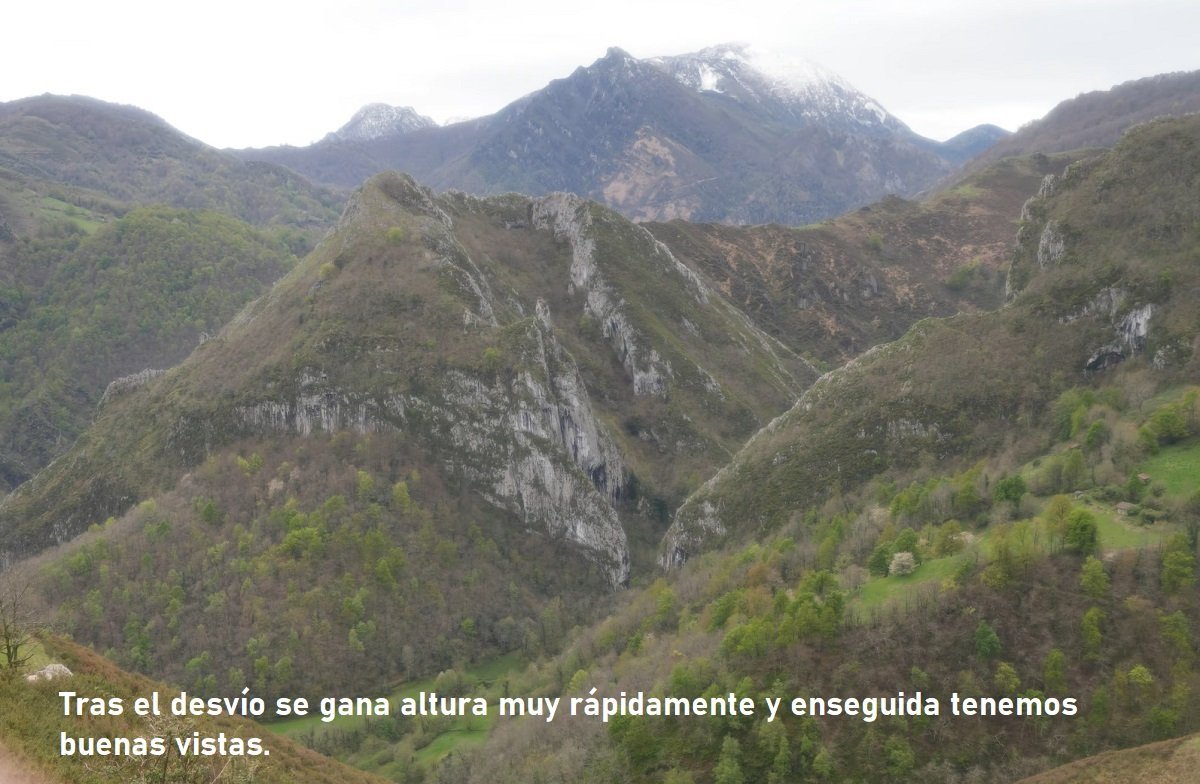 pico Guanalón Redes