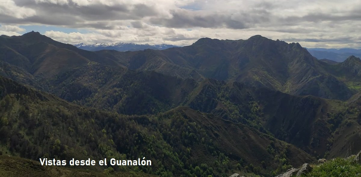 Pico Guanalón, Redes