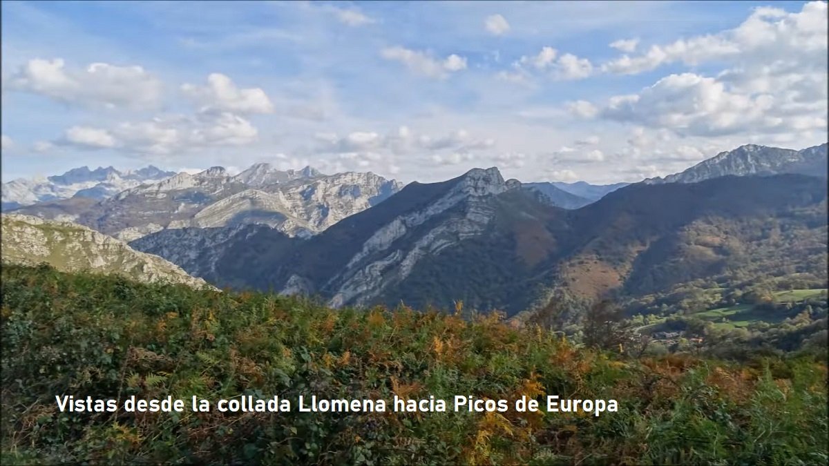 collada LLomena, Ponga