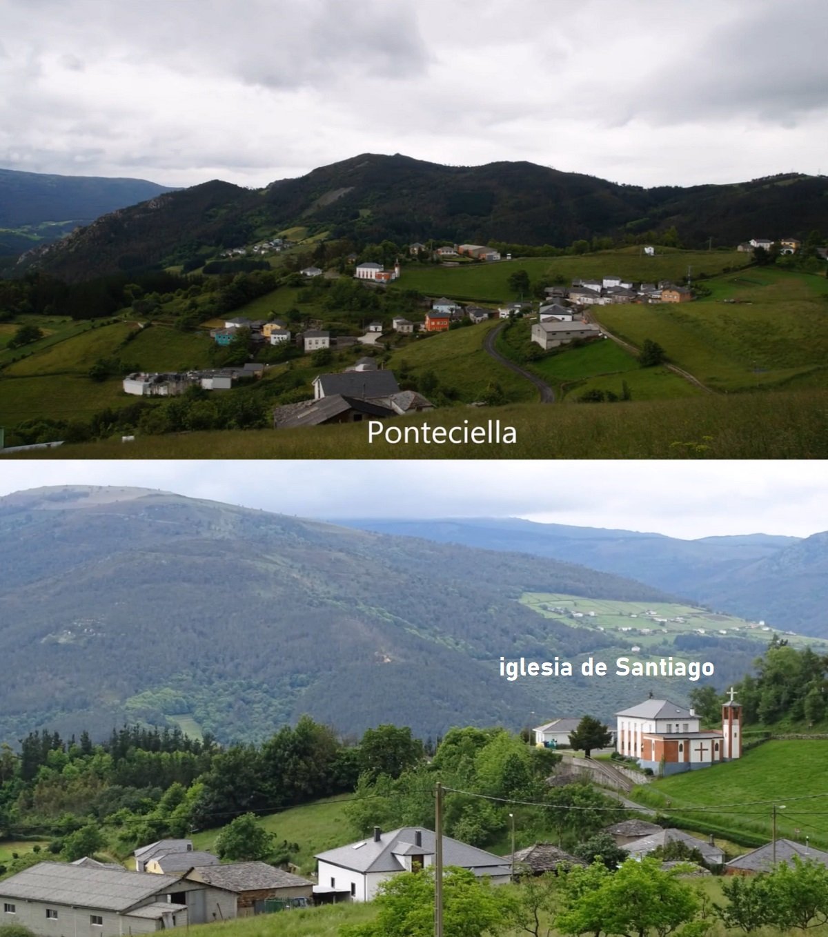 Ponticiella Villayón