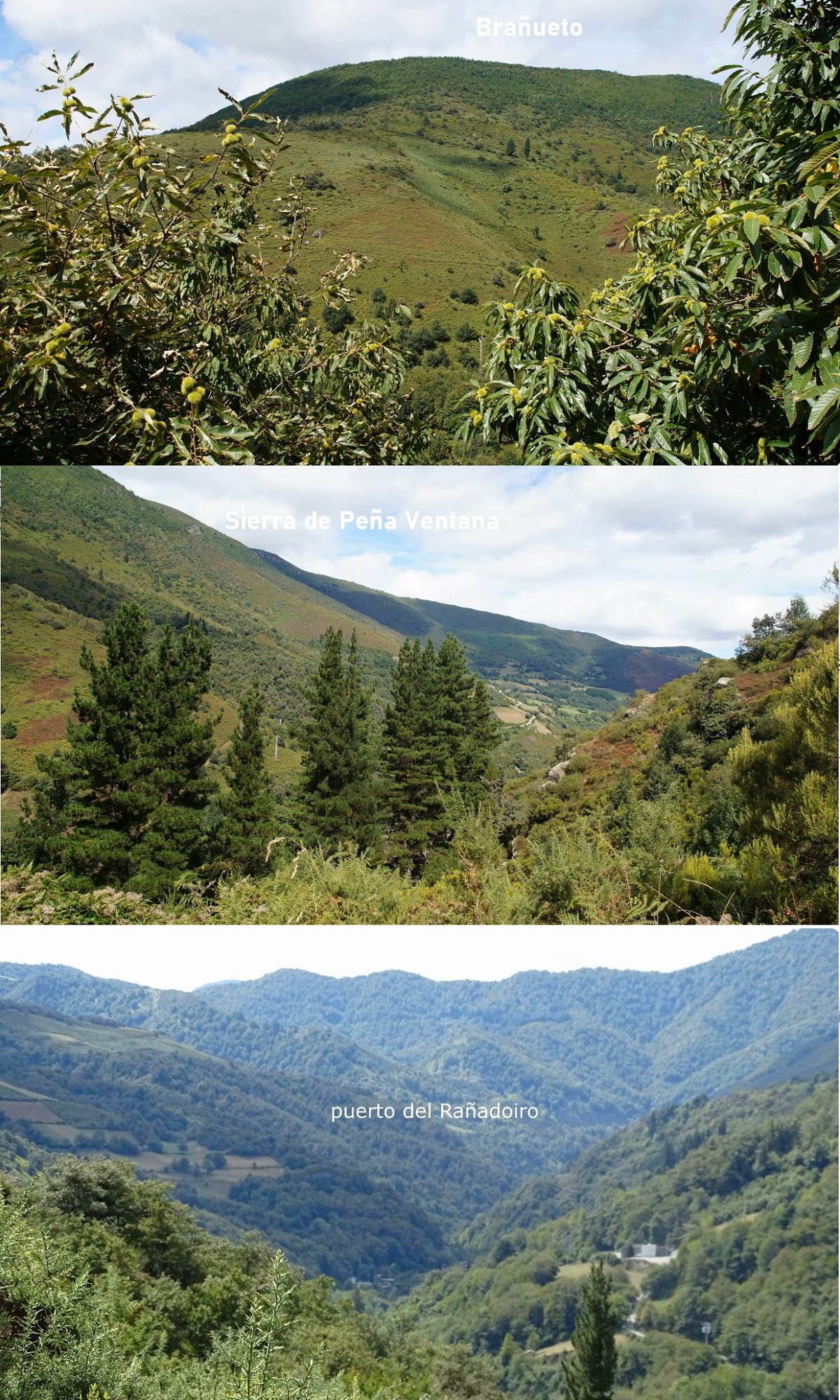 Puerto del Rañadoiro