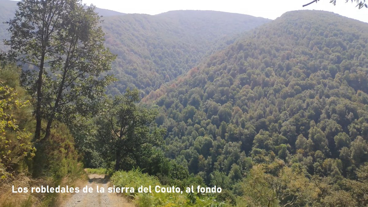 sierra del Couto al fondo
