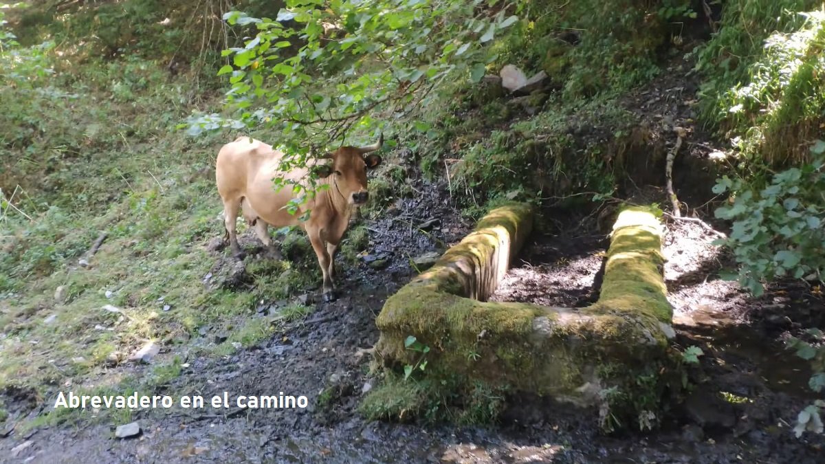 cabaña de la Escrita