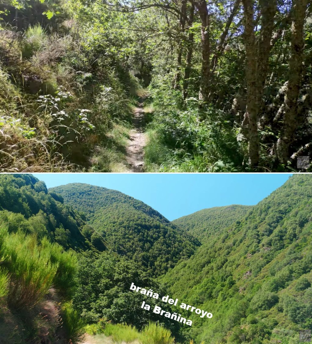 camino en La Laciana, León