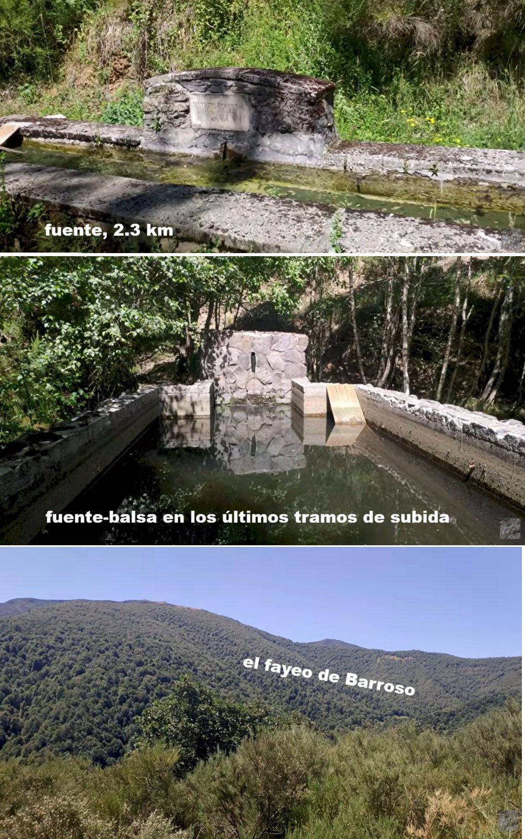 fuente en Rioscuro