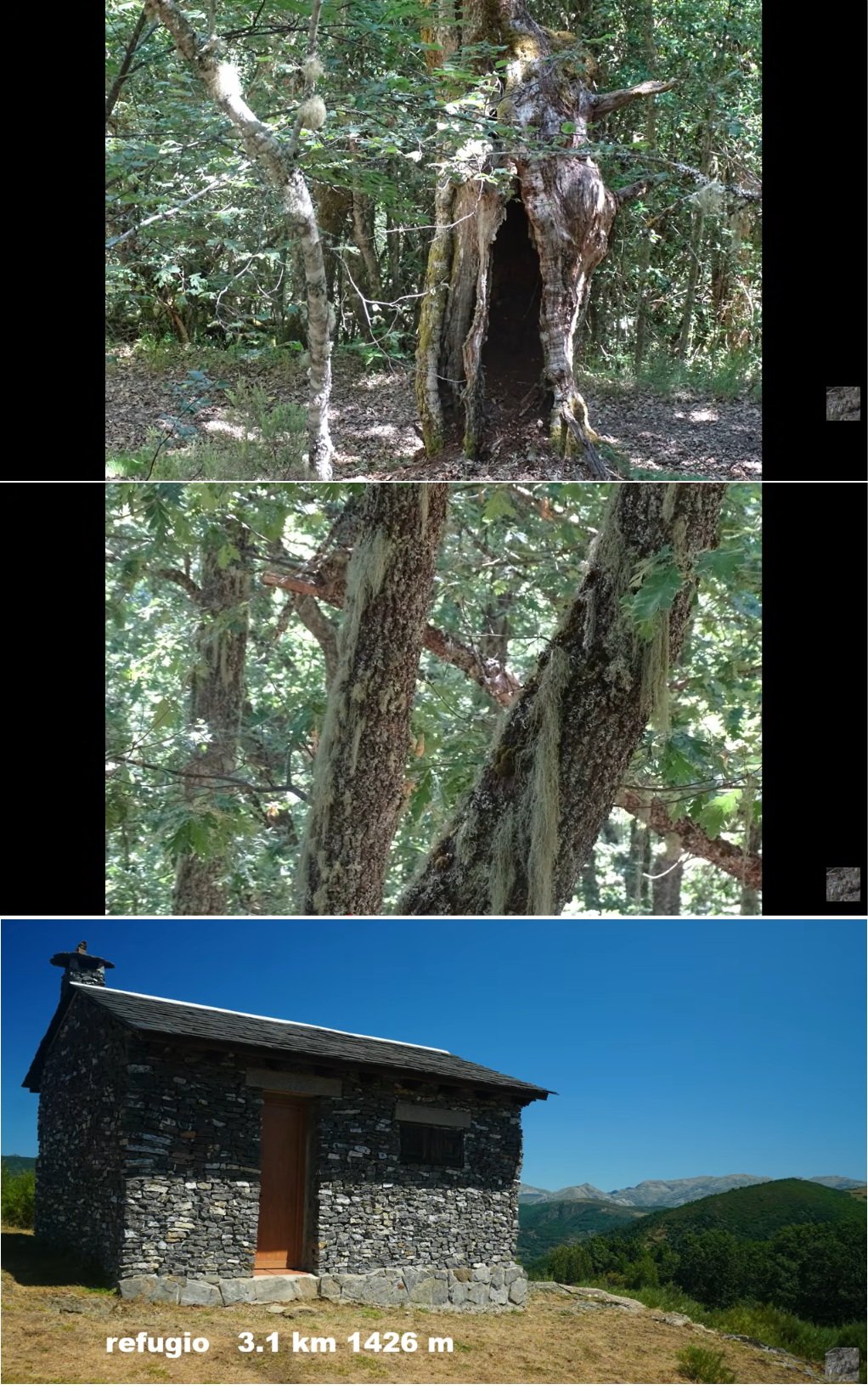 refugio en Rioscuro de Laciana